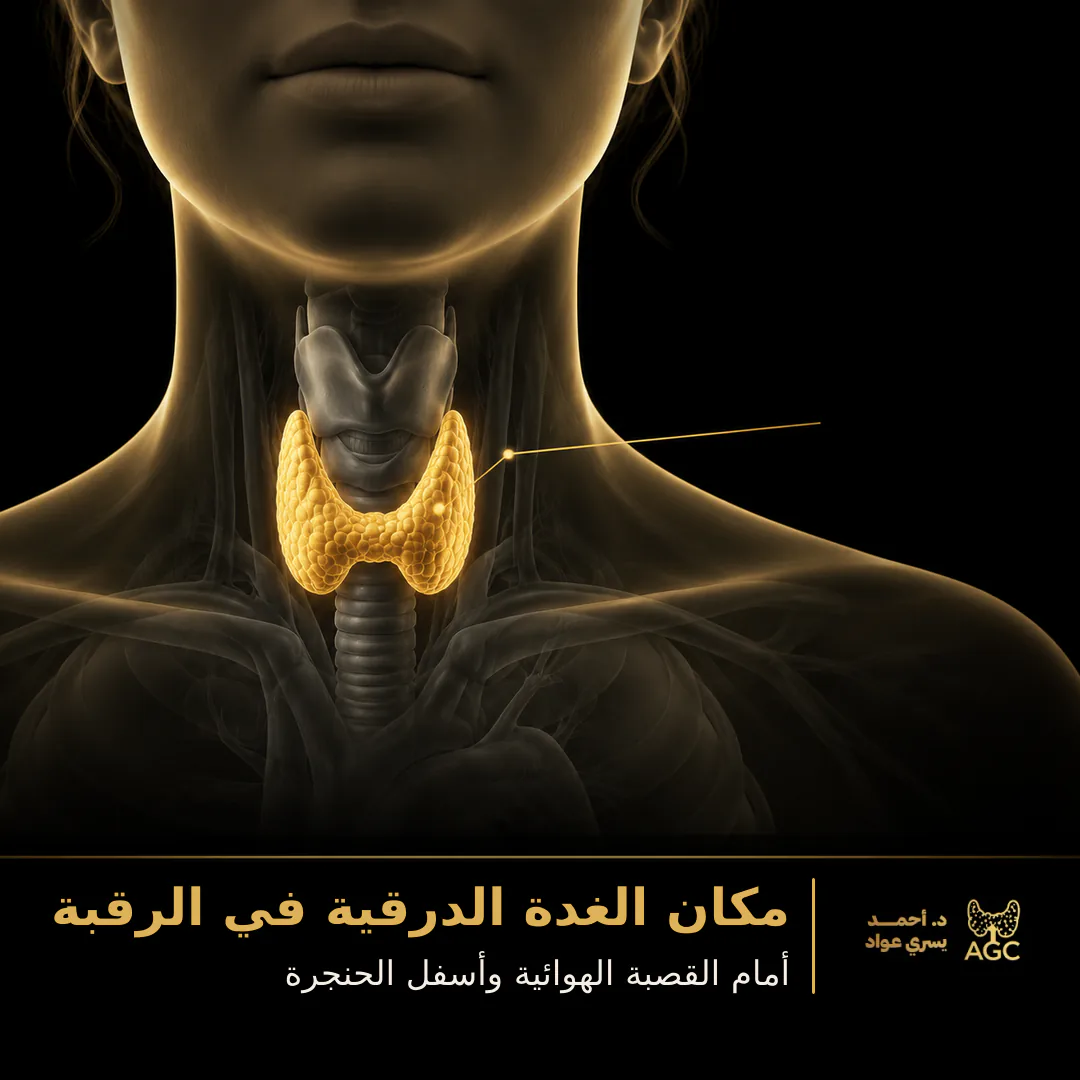 مكان الغدة الدرقية في الرقبة
